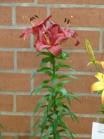 Foto: Dr. Peter Müller